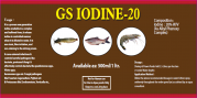 GS IODINE-20